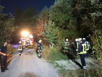 waldbrand_hooksiel