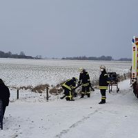 Einsatz_Rinderzaun