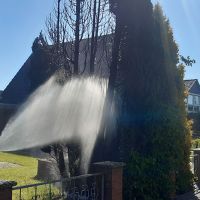 bild01