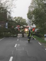 Sturmtief_Herwart_2