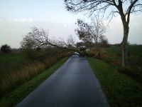 Sturmtief_Herwart_3